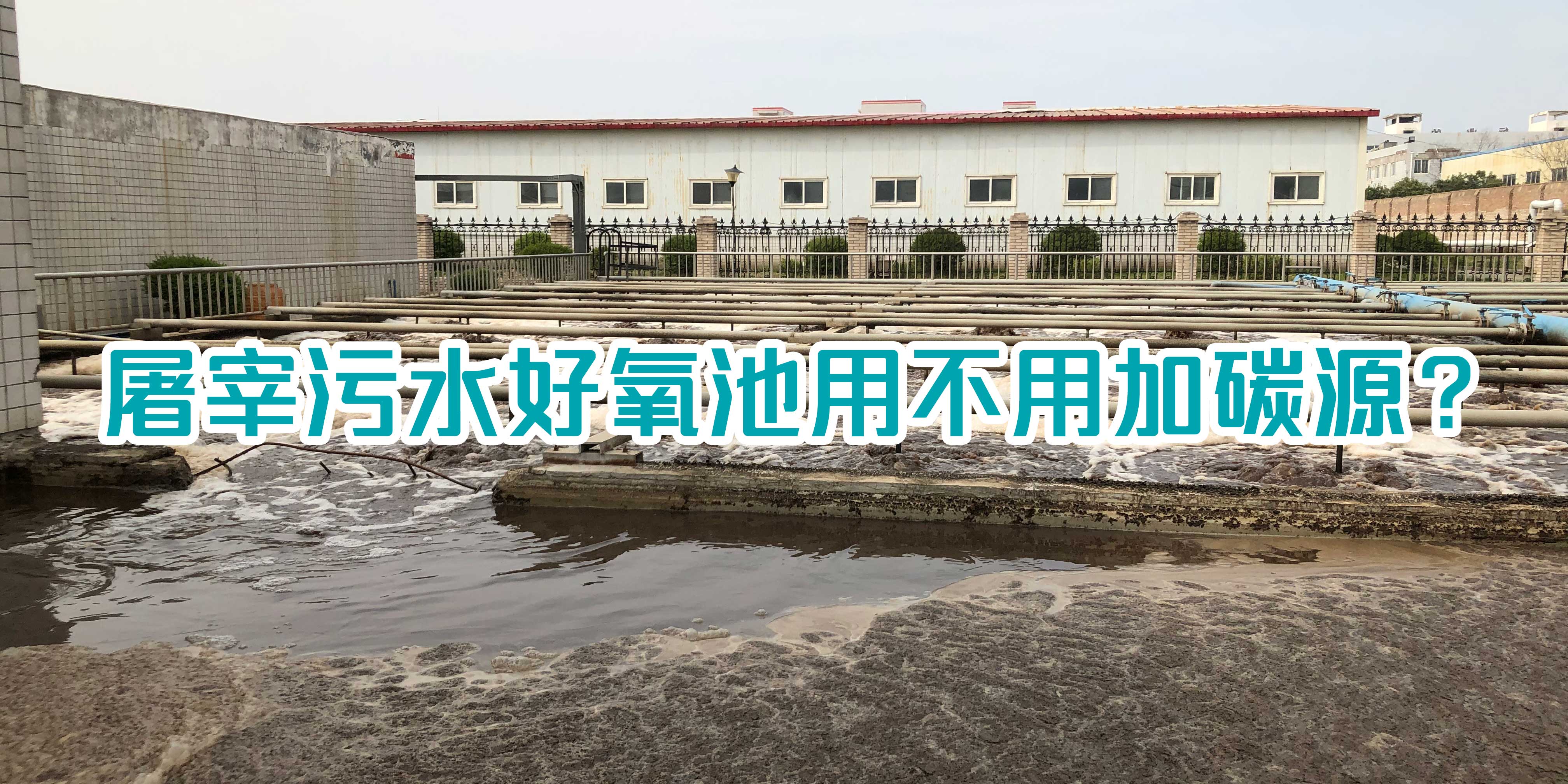 屠宰污水好氧池用不用加碳源？