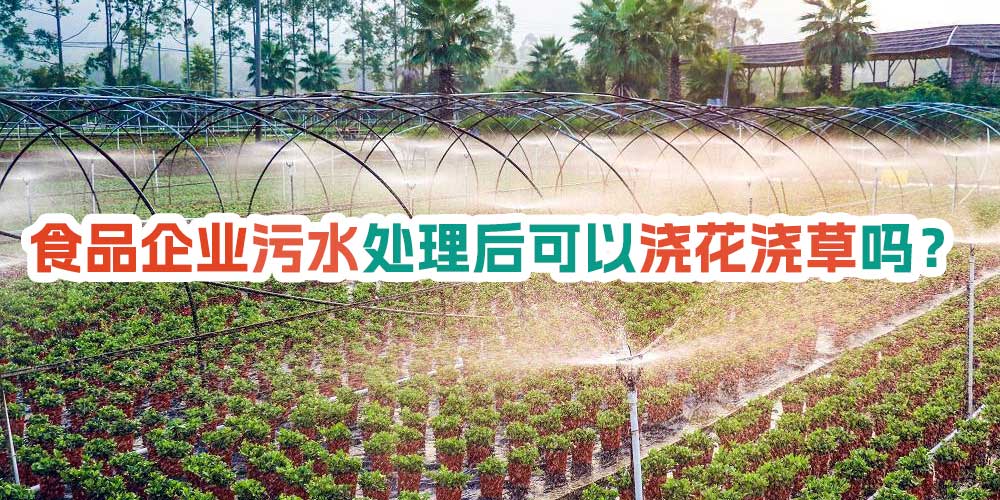 食品企業(yè)污水處理后可以澆花澆草嗎？