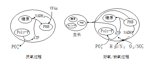 圖片1